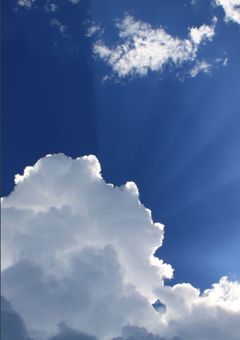 病気と共に生きている