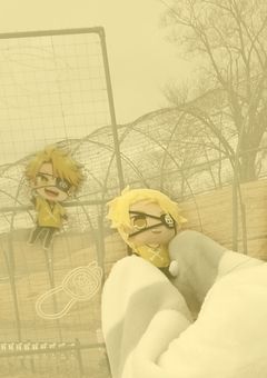 お 友 達 募 集 🪄︎︎