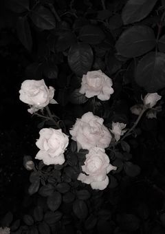 コンセプトに囚われる2人。