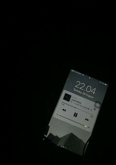 感情はありません。