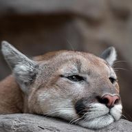 We Moreoさんのアイコン画像