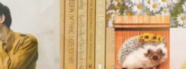 # Koyuさんの壁紙画像