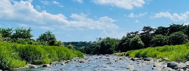 もなかさんの壁紙画像