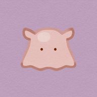 泉月@フォロバ100さんのアイコン画像