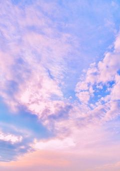 ミントグリーンの新メンバー