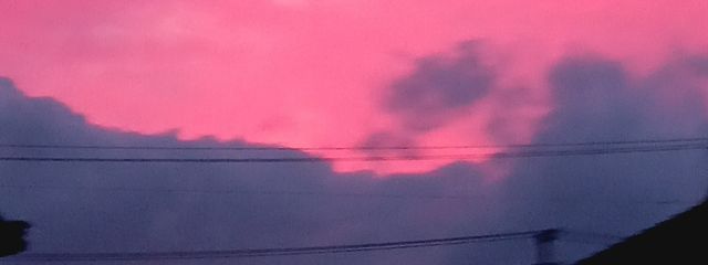 ひめみやさんの壁紙画像