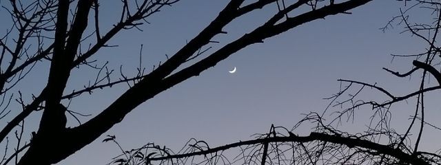 ゆっぺさんの壁紙画像