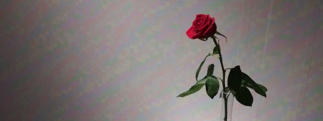 らめ⁉️⁉️さんの壁紙画像