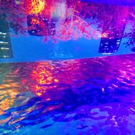 ゆーさんのアイコン画像