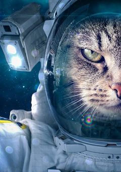 🪐 🚀 🛸　公　務　手　記　。🗒 🖊 👀