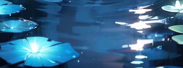 ワイさんの壁紙画像