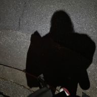 薇火🥀💣⚙️さんのアイコン画像