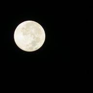 yeonuさんのアイコン画像