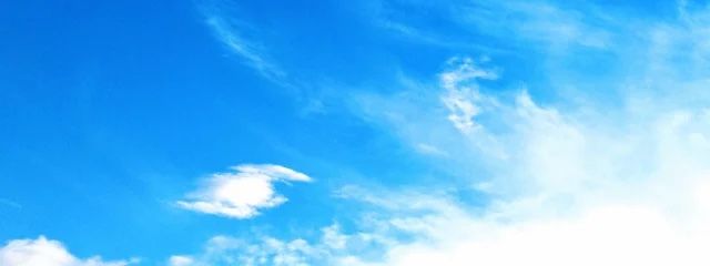 『　ゆずぽんぽ　』さんの壁紙画像