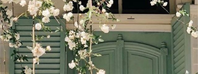 pH4のみかん。さんの壁紙画像