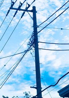 相互さんだったり色んな人のオリキャラ、オリカン描いてます(？？？)