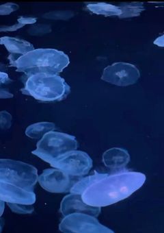 ただ話してるだけ