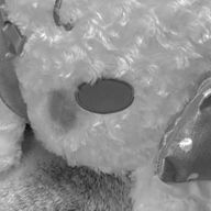 ｓさん𓇼𓈒𓆉さんのアイコン画像