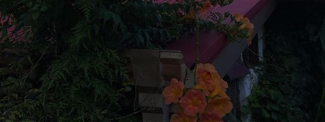 я _さんの壁紙画像