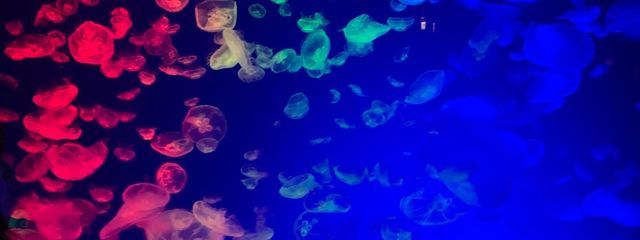 山田さんの壁紙画像