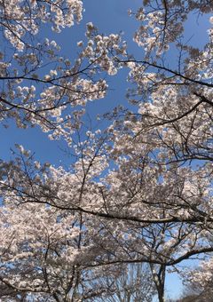 あいあむクズ【雑談】