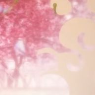 らら⛅🫧💐さんのアイコン画像