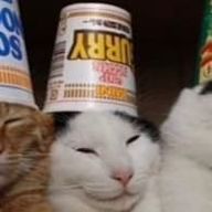 Kog★Hayaさんのアイコン画像