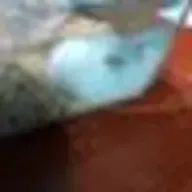 FMKさんのアイコン画像