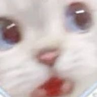 ぷいちまさんのアイコン画像