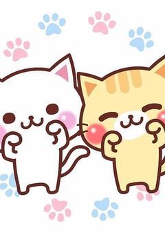 みーこの決断