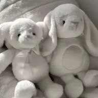 Mikieさんのアイコン画像