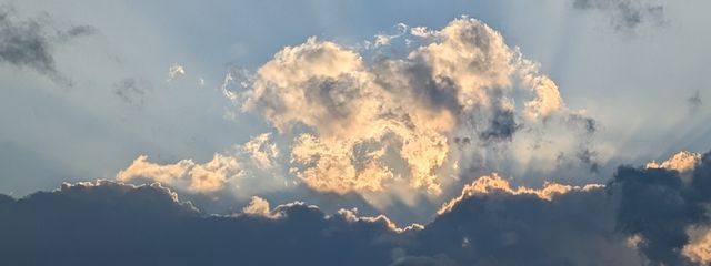 海月さんの壁紙画像