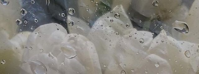 지우 さんの壁紙画像