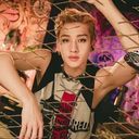 bang chan