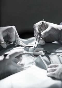 番外編　ソユルの医療室🩺💉