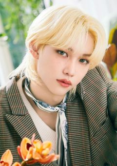 大好きな猫を探してます。