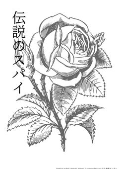 伝説のスパイ【参加型】