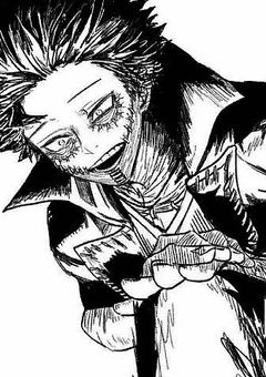 轟家の双子の妹、ヴィランになるそうで。