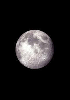 先生達、尊すぎるのやめてください。