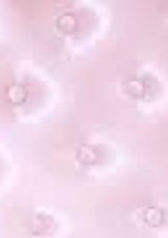 🎀百合短編🎀