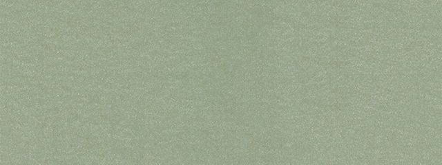 噂のブルーピッグさんの壁紙画像