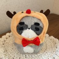 ここあさんのアイコン画像