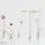 Iseeeekawaさんのアイコン画像