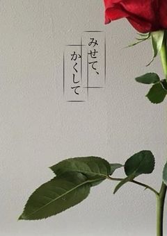 みせて、かくして