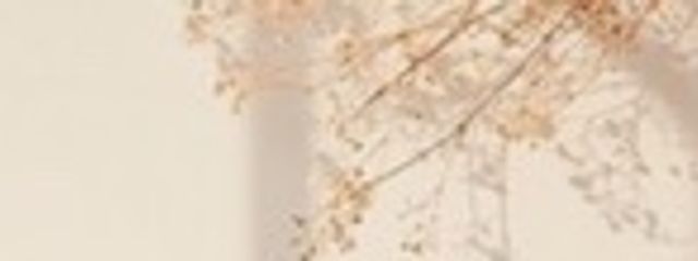 こno美さんの壁紙画像