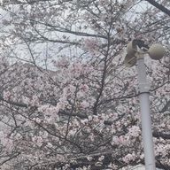 夕日さんのアイコン画像