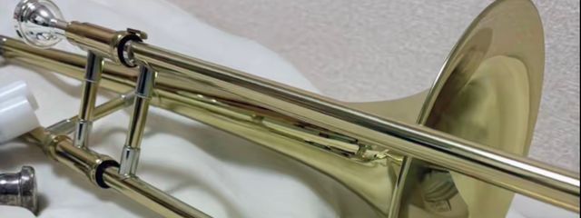 こむぎさんの壁紙画像
