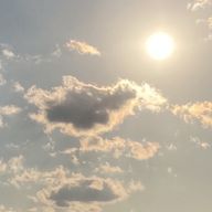 こころ@フォロセ終了さんのアイコン画像