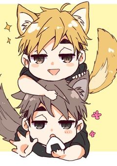 稲荷崎はきつね妖怪になりました!