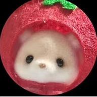 もちメロはむ‪🐹さんのアイコン画像